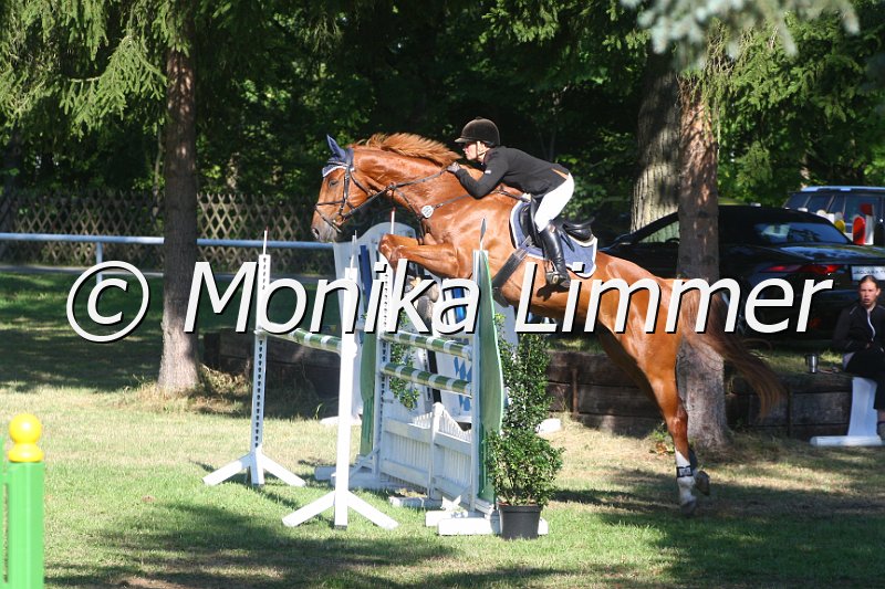 308M2678__Stil Mx.JPG